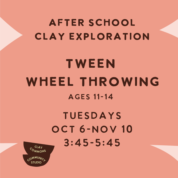 Wheel Summer Camp (10-13yr olds)